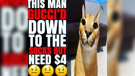 gucci down to the socks big
